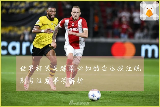 世界杯买足球前必知的合法投注规则与注意事项解析