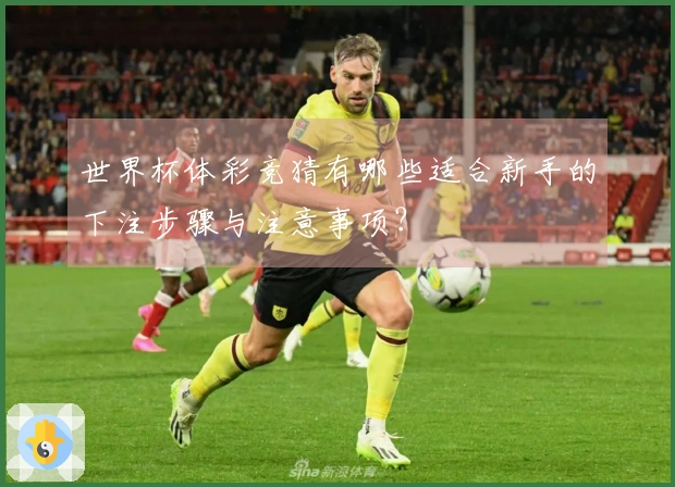 世界杯体彩竞猜有哪些适合新手的下注步骤与注意事项？