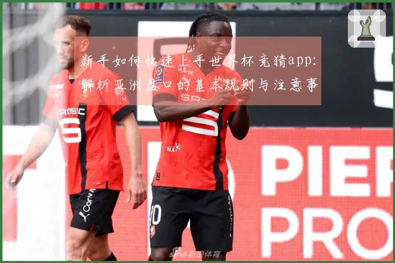 新手如何快速上手世界杯竞猜app：解析亚洲盘口的基本规则与注意事项