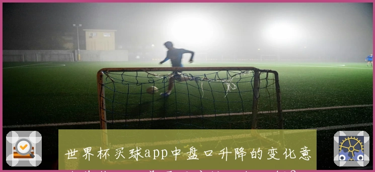 世界杯买球app中盘口升降的变化意味着什么，普通用户该如何理解？