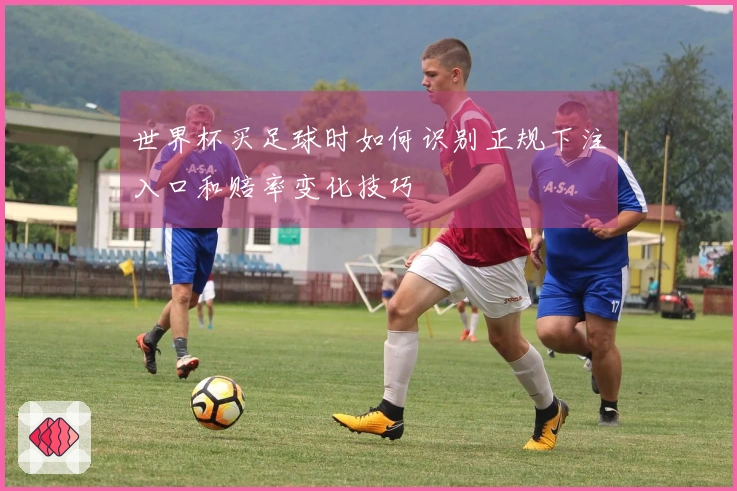 世界杯买足球时如何识别正规下注入口和赔率变化技巧