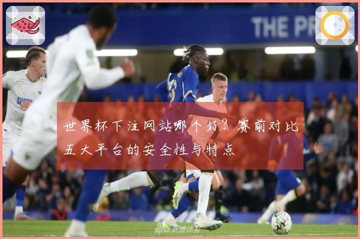 世界杯下注网站哪个好？赛前对比五大平台的安全性与特点