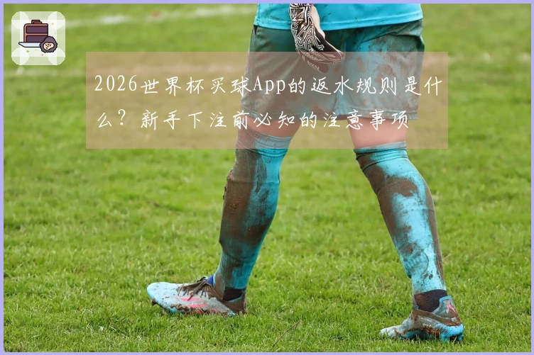 2026世界杯买球App的返水规则是什么？新手下注前必知的注意事项