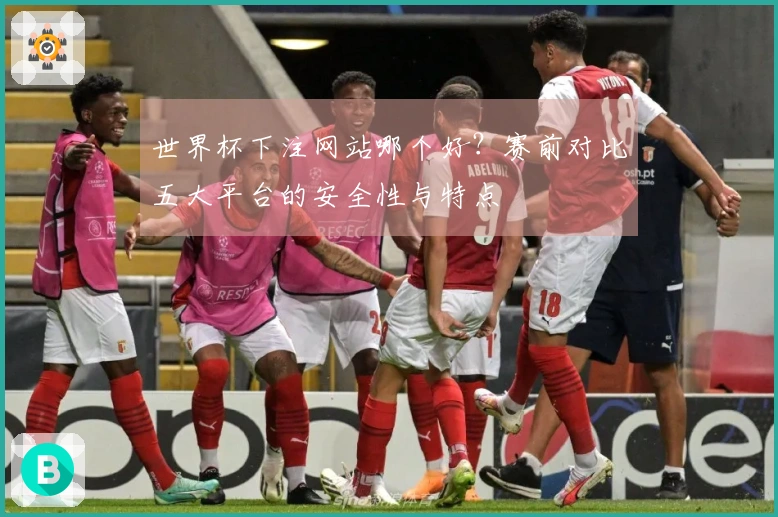 世界杯下注网站哪个好？赛前对比五大平台的安全性与特点