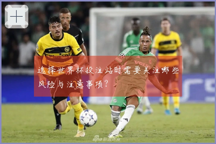 选择世界杯投注站时需要关注哪些风险与注意事项？