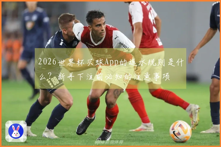 2026世界杯买球App的返水规则是什么?新手下注前必知的注意事项