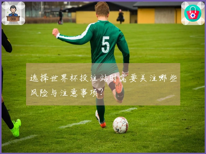 选择世界杯投注站时需要关注哪些风险与注意事项？