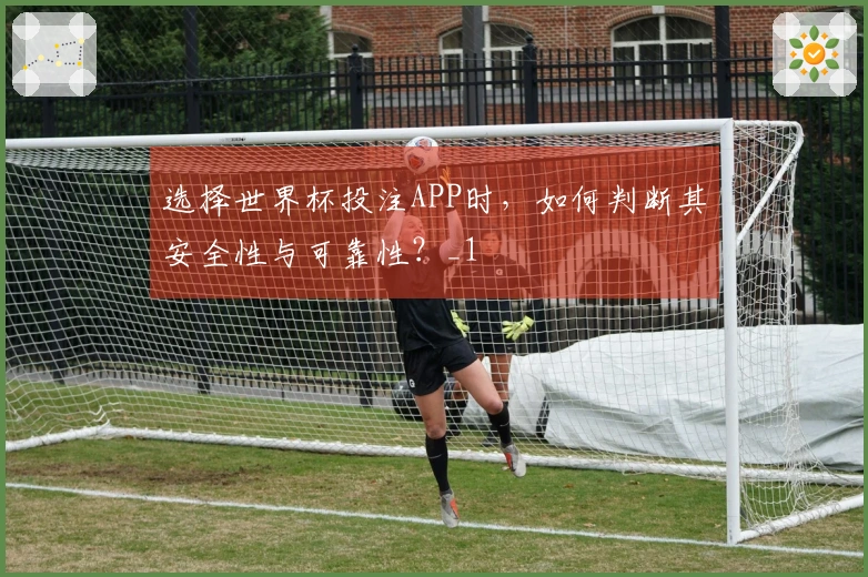 选择世界杯投注APP时，如何判断其安全性与可靠性？_1