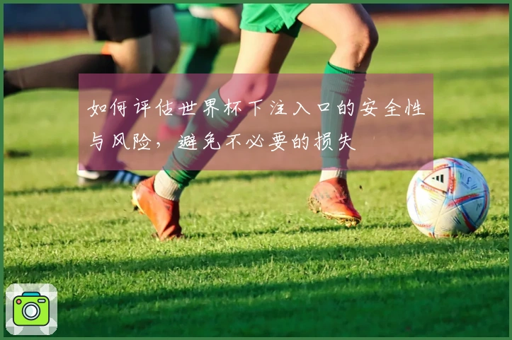 如何评估世界杯下注入口的安全性与风险，避免不必要的损失