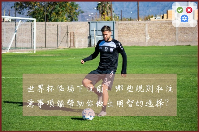 世界杯临场下注前，哪些规则和注意事项能帮助你做出明智的选择？