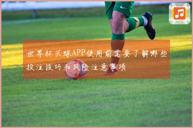 世界杯买球APP使用前需要了解哪些投注技巧和风险注意事项