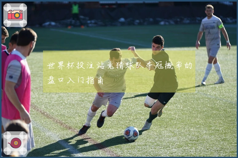 世界杯投注站竞猜球队夺冠概率的盘口入门指南