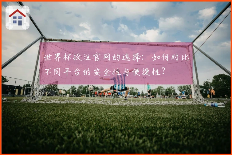 世界杯投注官网的选择：如何对比不同平台的安全性与便捷性？