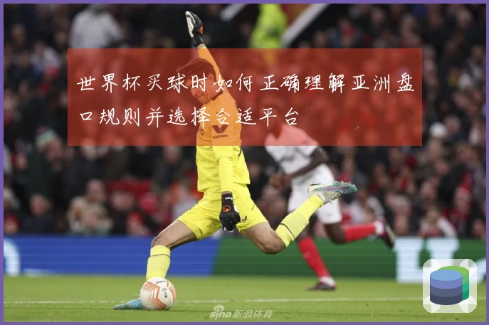 世界杯买球时如何正确理解亚洲盘口规则并选择合适平台
