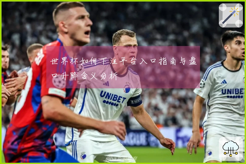 世界杯如何下注平台入口指南与盘口升降含义分析