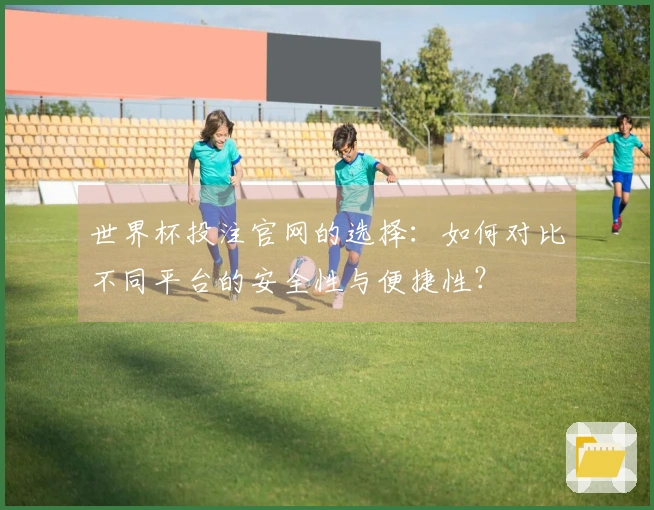 世界杯投注官网的选择：如何对比不同平台的安全性与便捷性？
