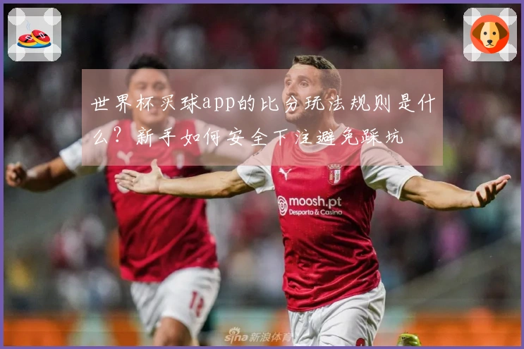 世界杯买球app的比分玩法规则是什么？新手如何安全下注避免踩坑