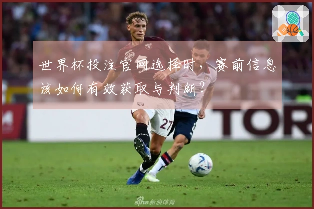 世界杯投注官网选择时，赛前信息该如何有效获取与判断？