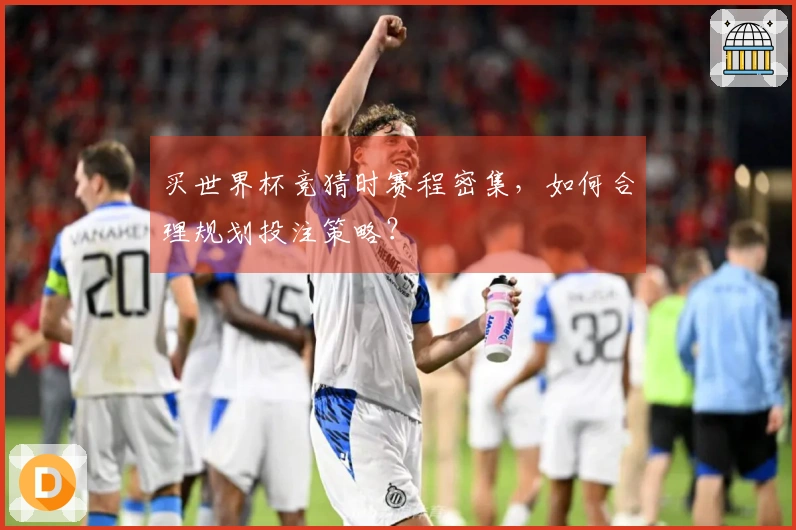 买世界杯竞猜时赛程密集，如何合理规划投注策略？