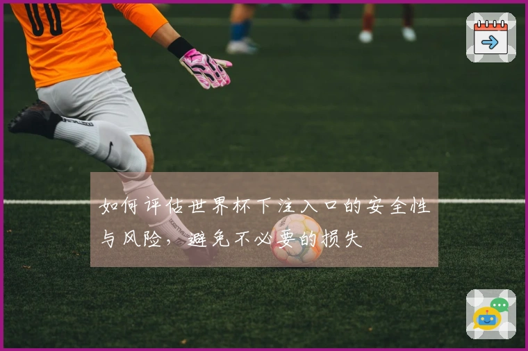 如何评估世界杯下注入口的安全性与风险，避免不必要的损失