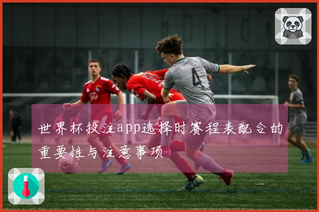 世界杯投注app选择时赛程表配合的重要性与注意事项