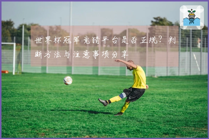 世界杯冠军竞猜平台是否正规？判断方法与注意事项分享