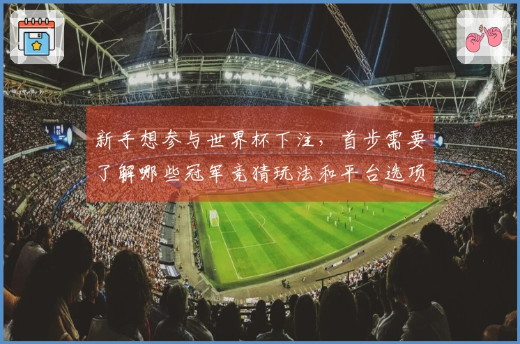 新手想参与世界杯下注，首步需要了解哪些冠军竞猜玩法和平台选项？