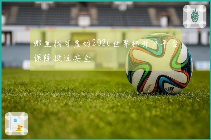 哪里找可靠的2026世界杯开户平台保障投注安全