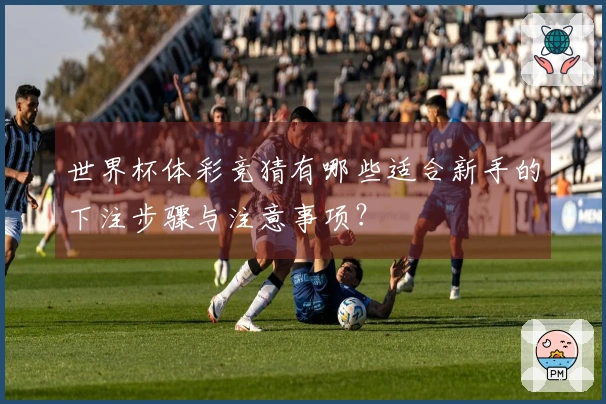 世界杯体彩竞猜有哪些适合新手的下注步骤与注意事项？